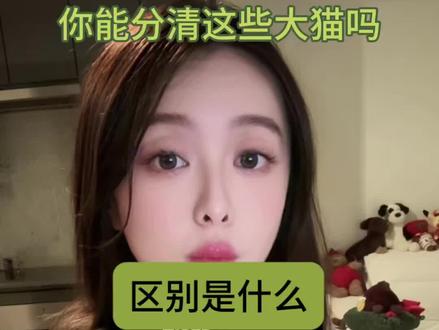 今天来学大型猫科动物的区别和他们的英语
#真实生活分享计划 #热门 #英语 #英语学习 #有趣的知识又增长了 @DOU+小助手 @DOU+上热门
