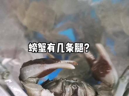 螃蟹有几条腿?不要犹豫!三秒钟打到评论区#螃蟹🦀 #偃师#抖音小助手