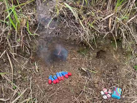 小伙拿“二踢脚”炸老鼠洞,下一秒老鼠一跃而岀,这下老鼠可惨了 #二踢脚炸老鼠洞 #下一秒老鼠一跃而岀 #这下老鼠可惨了