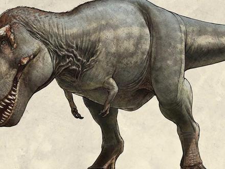 别笑霸王龙小爪子!是顶级进化设计 别笑霸王龙的小爪子!这是35 亿年进化史上最精妙的设计之一!😱
12 米长的白垩纪霸主,小短手看似滑稽,实则是捕猎固定器—— 能举 200 公斤,利爪锁死猎物,短而高效,完美适配顶级掠食者生存!
还有辅助起身、威慑对手、高效进食的隐藏功能,这才是进化的智慧!
评论区说说:你被霸王龙小短手惊艳到了吗?
#霸王龙 #恐龙科普 #进化