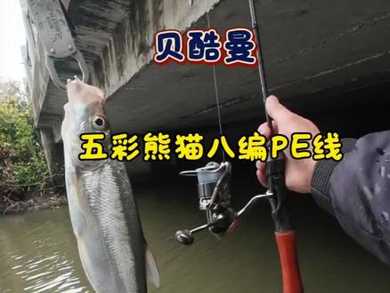 本期:贝酷曼五彩熊猫八编PE线,线经标准抛投丝滑! #路亚翘嘴 #路亚野钓 #原来钓鱼才是抖音运动顶流