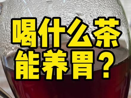 什么茶喝了不伤胃?什么茶天天喝还养胃?#普洱茶 #茶叶 #召唤茶友 #茶知识 #普洱熟茶