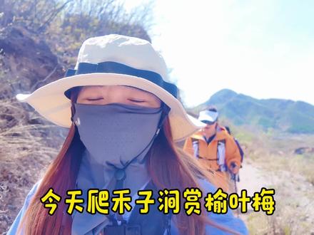 禾子涧的榆叶梅开得正欢,满上遍野的粉。导航禾子涧村,五公里多,爬升不到四百,很轻松的小环线。周末快冲吧#旅行中的大自然之美 #徒步登山 #爬山