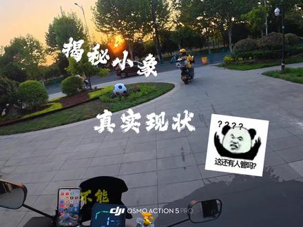 #小象超市骑手 #小象超市 #外卖 如果听到最后你们还想干,那我只能说一句“兄弟”欢迎来到牛马世界.