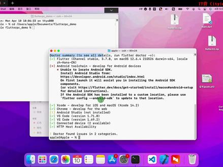 01 Flutter跨平台桌面软件开发介绍 在Windows Mac创建 运行项目