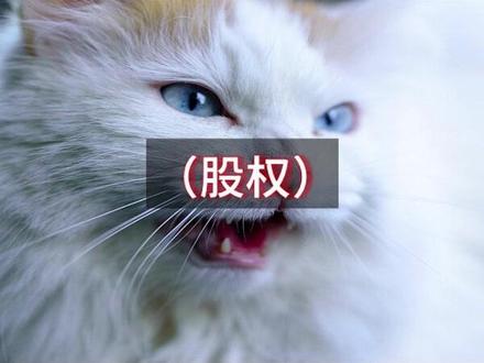deepseek的股权结构设计