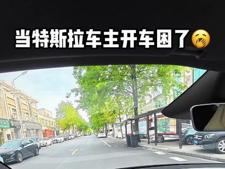 开特斯拉困意来袭怎么办 #特斯拉 #modely #model3 #特斯拉露营