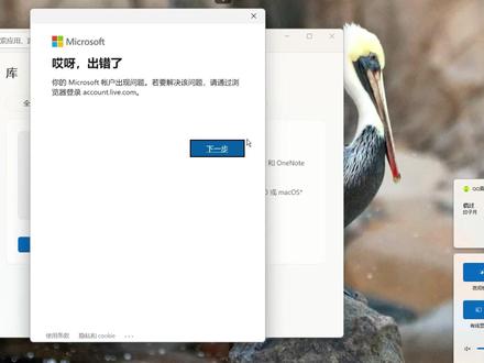 哎呀,出错了。你的Microsoft账号出现问题!!