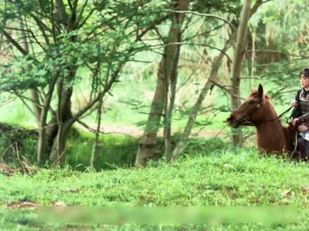 电视剧 逐玉 第29集 长玉得知谢征身份 #电视剧逐玉#没人告诉我逐玉这么好笑#逐玉热度破万#逐玉樊长玉#逐玉谢征