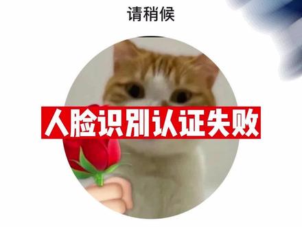 听说你的人脸验证又失败了?过来我教你怎么解决#防沉迷 #游戏 #王者 #和平精英