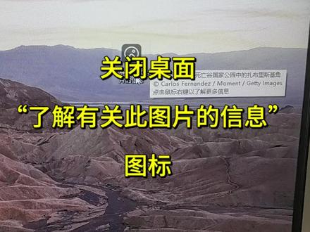 win11系统“了解有关此图片的信息”图标删除#电脑知识 #电脑技巧