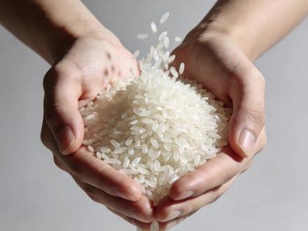 科普:定蛆推时(迪斯科米) 感受一下牢A给大家科普的定蛆推时,欢迎大家在吃饭的时候听。#迪斯科米 #牢A #斯奎奇大王