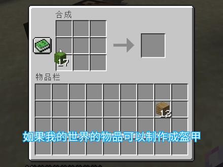 MC当所有物品都可以造成特殊的盔甲?我竟然做了一个仙人掌套装!