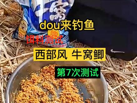 #钓鱼人 #窝料 #户外钓鱼 #野钓 户外钓鱼,寻找野钓高密度河段,祝你天天爆护