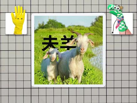 十二生肖未羊,是你的属相吗?
#左左右右学画画 #十二生肖 #属羊的人 #简笔画教程 ##一起学画画