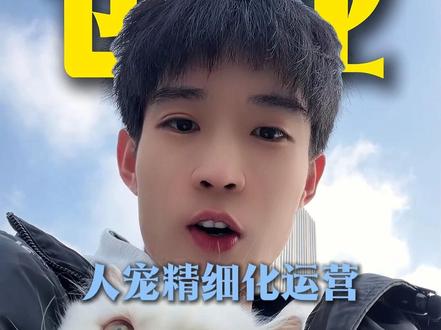 00后创业宠物赛道! 在给老板打工和给自己打工之间,我选择了给修猫修勾打工!#创业 #修猫修狗 #00后创业 #猫狗双全 #宠物