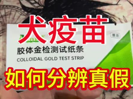 狗狗疫苗,怎么分辨真假?#狗狗 #狗疫苗 #疫苗真假 #萌宠出道计划 #广西土猎犬