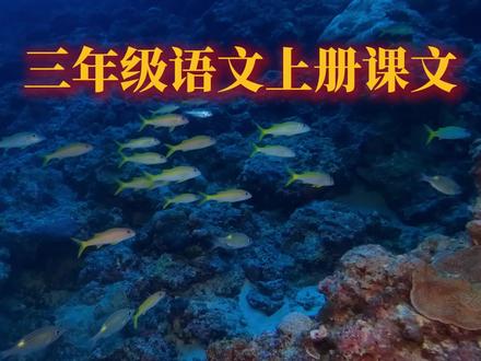 三年级语文上册《富饶的西沙群岛》#课文视频