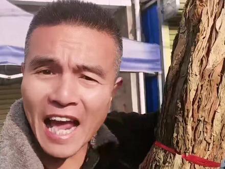 原生态香烟。#百姓生活