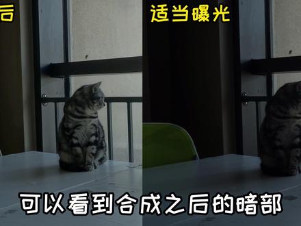 你知道吗?索尼相机的这个功能可以帮助我们得到正确曝光的照片 赶快来试一试#索尼大法好 #相机 #摄影知识