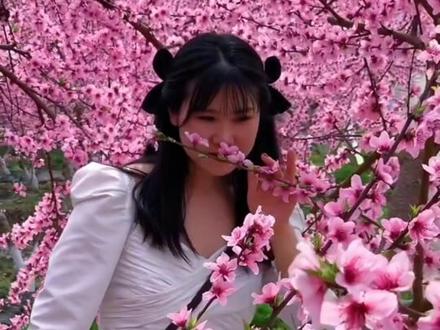 用五感法来写植物,可以使文章写长写丰富#萌知计划 #作文 #语文