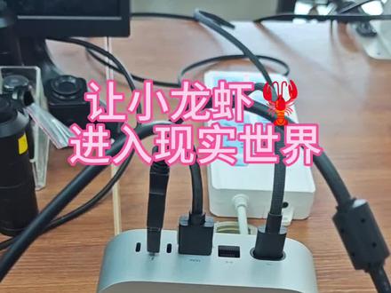 用OpenClaw进行纸巾挑战 把OpenClaw接上摄像头与机械臂,等于安上了眼镜和手
#AI #OpenClaw #Clawdbot #龙虾机器人 #机械臂