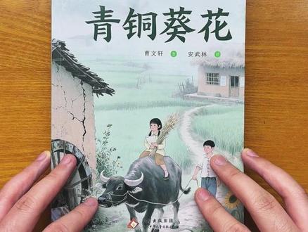 给孩子买一本青铜葵花吧,孩子读完会懂得在苦难中学会坚强#青铜葵花 #曹文轩 #儿童文学 #四年级语文 #四年级 lll