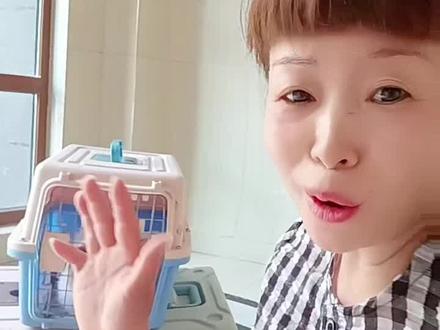 有了开头,就没有尽头,19年守护它们,无怨无悔!#猫咪 #爱护动物 #颖颖的毛孩子#抖音