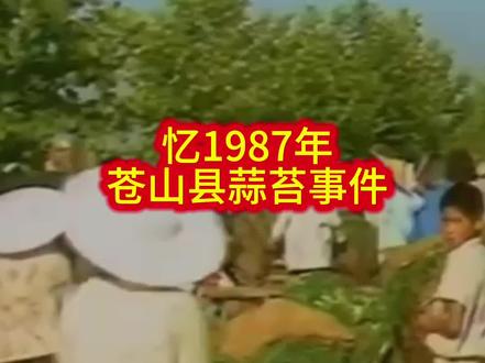 忆1987年苍山县蒜苔事件#观兰陵
