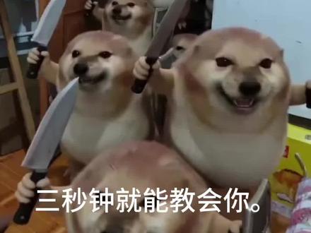 我的刀盾大军视频教程来啦!#剪映 #我的刀盾#萌宠 #表情包我的刀盾 我的刀盾小狗我的刀盾奶龙我的刀盾原视频我的刀盾比比拉卜八嘎呀路歪比巴 卜 我的刀盾特效 我的刀盾入侵我的刀盾图片我的刀盾dj 我的刀盾是什么意思