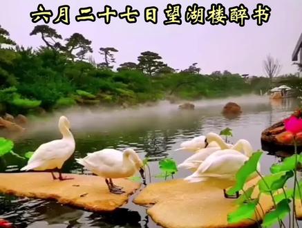 六月二十七日望湖楼醉书