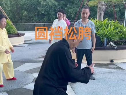 史老师讲解啥是太极拳里的圆裆松胯?在太极拳里头,虚领顶劲,含胸拔背,沉肩堕肘,圆裆松胯这四点,不是说做哪个动作用那一点,而是至始至终,在你的身上都要保持这几个点。