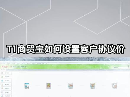 T1商贸宝如何设置客户协议价? #用友软件 #T1商贸宝 #单机版 #打单软件