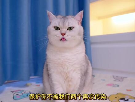 【6小时木吉他音乐】,放松助眠的森林之声,缓和情绪