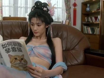 臭猫的土味情话 主人,我们谈谈人生吧!#搞笑 #AI短剧 #邵氏 #AI创作浪潮计划 #猫咪