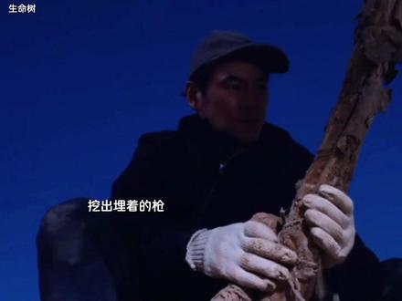 无人区,从来不是无法区#生命树 #生命树我将反复看