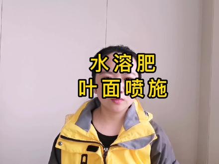 叶面施肥省工、省力、效果好,代替土壤施肥可不行 #肥料 #三农 #农业技术推广
