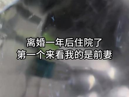 最难的就是浪子回头 #前妻 #东北爱情故事 #追妻记 #左天好