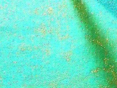 这二个字你能分清楚吗?#手写 #写字是一种生活 #汉字 @DOU+小助手