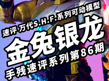 【速评万代SHF 金兔银龙】#充能计划 #宅物 #假面骑士build #假面骑士 #宅物 #充能计划