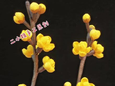 用餐巾纸做腊梅花苞,这样的腊梅大家喜欢不,点赞收藏,不然你找不到我#手工 #原创 @抖音小助手