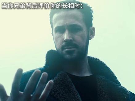 其实你和兄弟都是高司令☠️
#meme #瑞恩高斯林