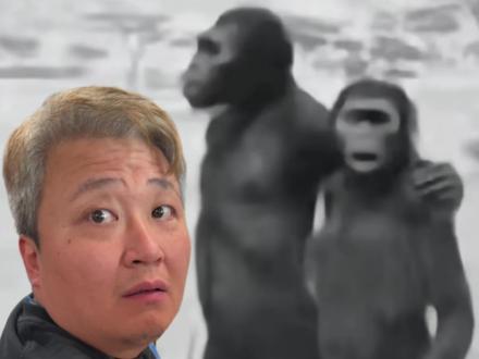 你是几几年的? #同事年龄 #你是几几年 #公司采访