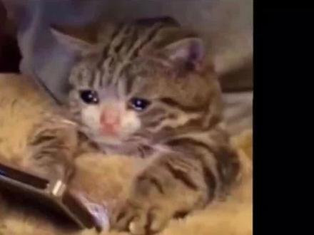 "余生清醒时互不打扰,思念时梦里见,如此甚好"#情感 #情感共鸣 #梦里出现的人到底是谁在想谁