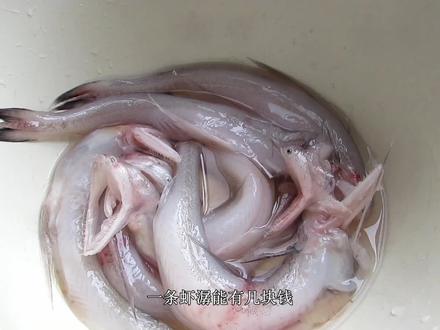 虾潺的命运,从几十年前捕获都都扔回海里到如今也能占得宁波人菜桌上的一席之位。对它的偏爱,大家可以谈谈。#宁波海鲜 #虾潺