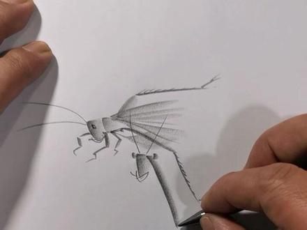 螳螂战蝗虫!铅笔画#蝗虫