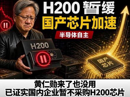 黄仁勋来了也没用 已证实国内企业暂不采购英伟达H200芯片 #英伟达 #黄仁勋 #显卡 #H200 #AI