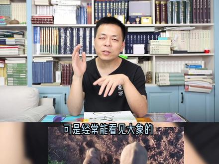大象是怎样在中国北方消失的? #涨知识 #历史 #云南大象迁移 @DOU+小助手