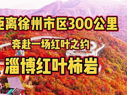距离徐州市区300公里奔赴一场红叶之约淄博红叶柿岩