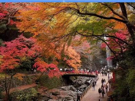 避免前往日本旅游!文旅部郑重提醒 今年以来,日本社会治安不靖,针对中国公民违法犯罪案件多发,发生多起在日中国公民遇袭事件,部分案件迄未侦破,中国公民在日本安全环境持续恶化。近日,日本领导人公然发表涉台露骨挑衅言论,严重恶化中日人员交流氛围,给在日中国公民人身和生命安全带来重大风险。
文旅部郑重提醒中国游客近期避免前往日本旅游,根据日本观光厅的数据,2024年中国游客在日消费总额位列各国游客之首。今年前九个月,中国大陆赴日游客已接近750万人次,占外国游客总数的四分之一左右。国际旅游收入是日本经济的一大关键支柱,如果中国游客大规模减少,势必会直接冲击日本的酒店、餐饮、零售、交通等行业。
#中旅联 #文旅 #旅游 #日本 #游客